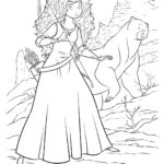 Raskrasil.com-Brave-2