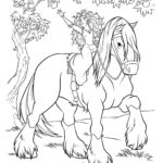 Raskrasil.com-Brave-34