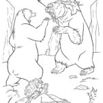 Raskrasil.com-Brave-39