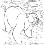 Raskrasil.com-Brave-93