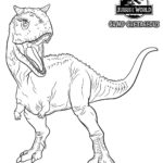 Raskrasil.com-Camp - Cretaceous-38