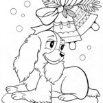 Raskrasil.com-Christmas puppy-1