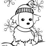 Raskrasil.com-Christmas puppy-12