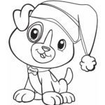 Raskrasil.com-Christmas puppy-17