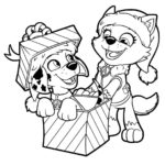 Raskrasil.com-Christmas puppy-18
