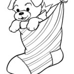 Raskrasil.com-Christmas puppy-19