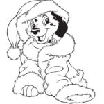 Raskrasil.com-Christmas puppy-2