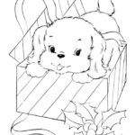 Raskrasil.com-Christmas puppy-22