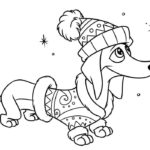 Raskrasil.com-Christmas puppy-28