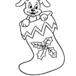 Raskrasil.com-Christmas puppy-35