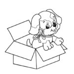 Raskrasil.com-Christmas puppy-39