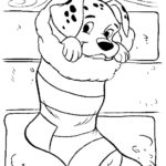 Raskrasil.com-Christmas puppy-4