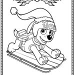 Raskrasil.com-Christmas puppy-43