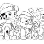 Raskrasil.com-Christmas puppy-44