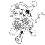 Raskrasil.com-Christmas puppy-46