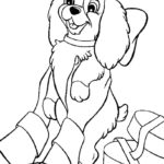 Raskrasil.com-Christmas puppy-56