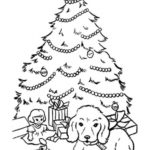 Raskrasil.com-Christmas puppy-58