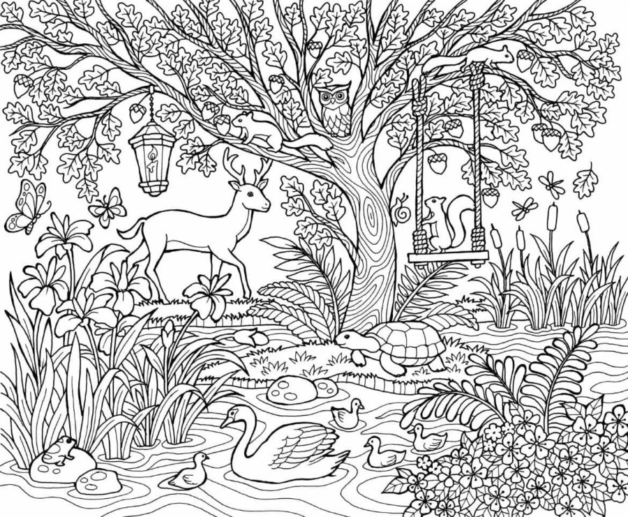 Scenery Coloring Pages for Adults | 60 Pictures Free Printable
