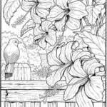 Raskrasil.com-Colorig-Pages-Landscape-16