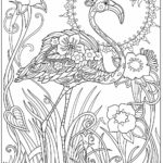 Raskrasil.com-Colorig-Pages-Landscape-42
