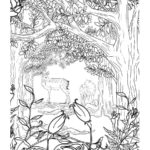 Raskrasil.com-Colorig-Pages-Landscape-9