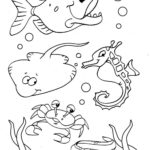 Raskrasil.com-Colorig-Pages-Marine Life-100