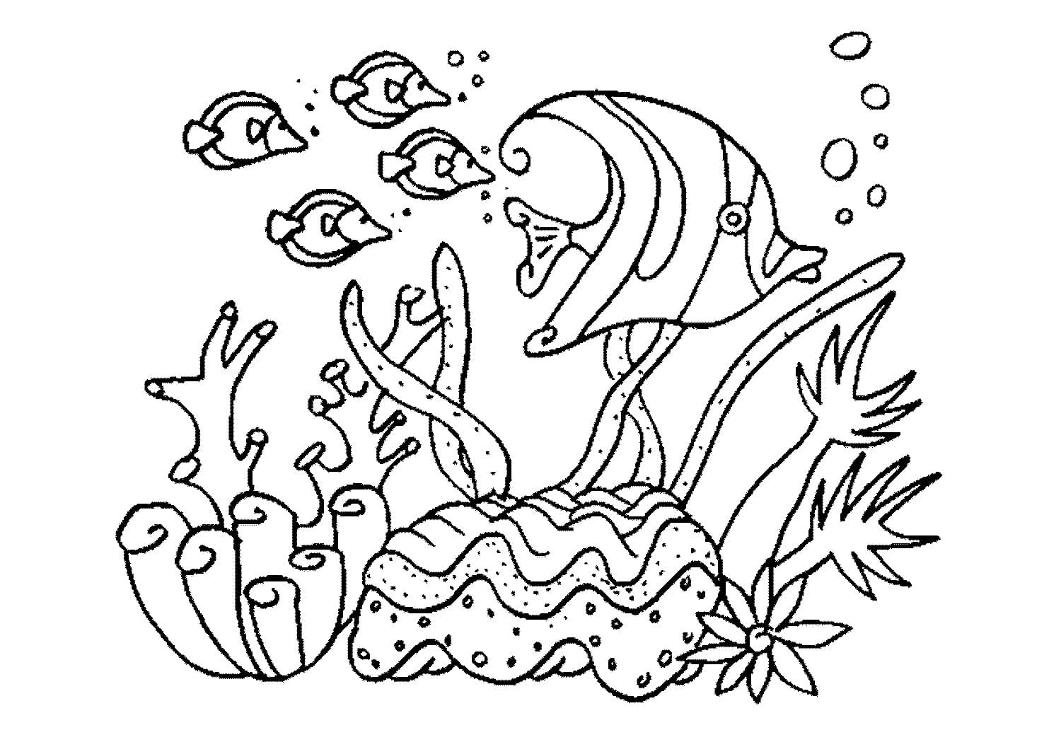 Disegni di Animali Marini da colorare - 100 immagini per la stampa gratuita