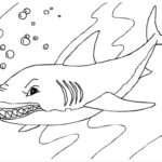 Raskrasil.com-Colorig-Pages-Marine Life-17