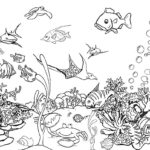 Raskrasil.com-Colorig-Pages-Marine Life-18