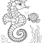 Raskrasil.com-Colorig-Pages-Marine Life-2