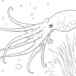 Raskrasil.com-Colorig-Pages-Marine Life-21