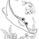 Raskrasil.com-Colorig-Pages-Marine Life-22