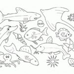 Raskrasil.com-Colorig-Pages-Marine Life-26