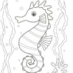 Raskrasil.com-Colorig-Pages-Marine Life-3