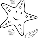 Raskrasil.com-Colorig-Pages-Marine Life-35