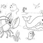 Raskrasil.com-Colorig-Pages-Marine Life-36