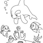 Raskrasil.com-Colorig-Pages-Marine Life-38