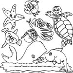 Raskrasil.com-Colorig-Pages-Marine Life-4