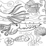 Raskrasil.com-Colorig-Pages-Marine Life-45