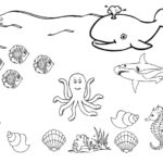 Raskrasil.com-Colorig-Pages-Marine Life-47