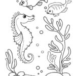 Raskrasil.com-Colorig-Pages-Marine Life-5
