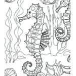 Raskrasil.com-Colorig-Pages-Marine Life-50