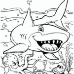 Raskrasil.com-Colorig-Pages-Marine Life-56