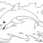 Raskrasil.com-Colorig-Pages-Marine Life-62