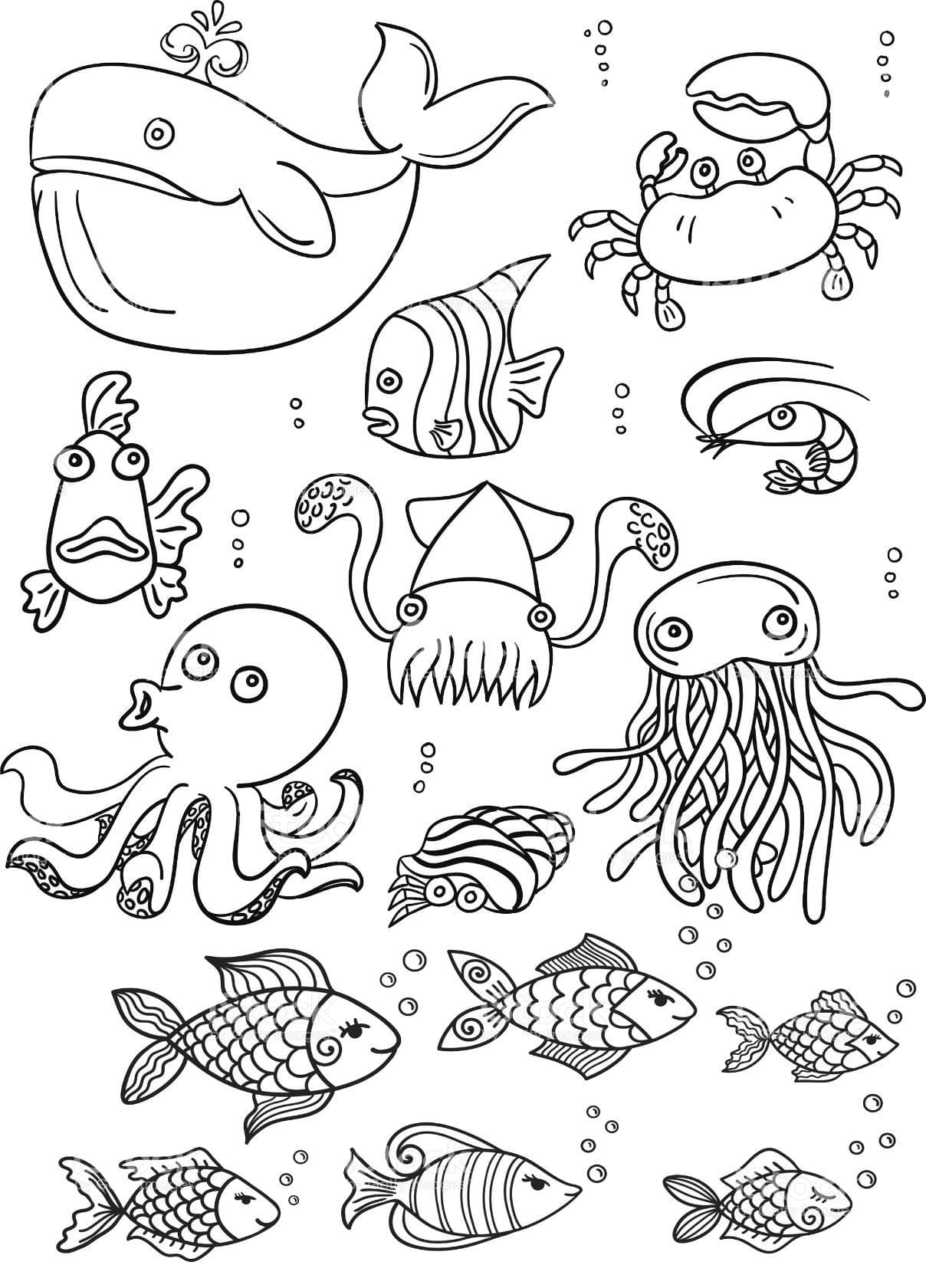 Морские животные раскраска для малышей