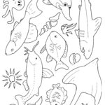 Raskrasil.com-Colorig-Pages-Marine Life-65