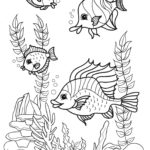 Raskrasil.com-Colorig-Pages-Marine Life-66