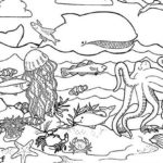 Raskrasil.com-Colorig-Pages-Marine Life-7