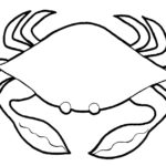 Raskrasil.com-Colorig-Pages-Marine Life-72