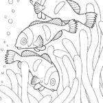 Raskrasil.com-Colorig-Pages-Marine Life-76